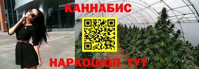 spice Малгобек