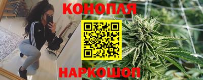 гашик Мариинск