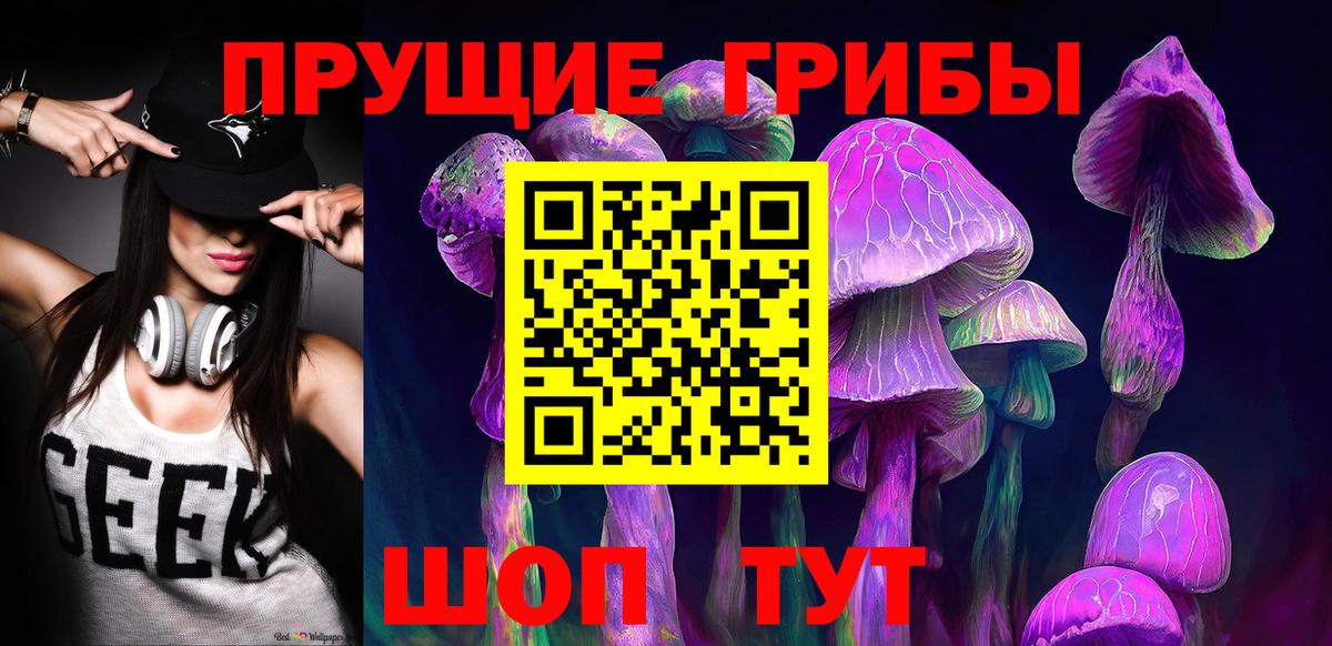 Галлюциногенные грибы Psilocybine cubensis Улан-Удэ