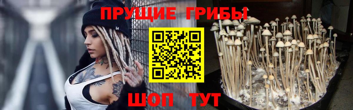 Галлюциногенные грибы мухоморы  наркотики  Вход с VPN  Улан-Удэ  Галлюциногенные грибы ЛСД 